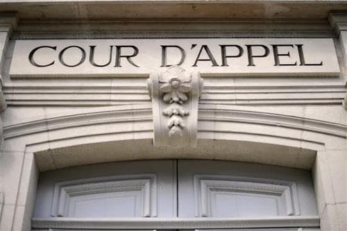 Jurisprudence: Indemnisation du plagiat d’un site par son concurrent