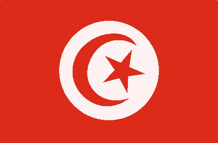 Tunisia: Thousands protest  against corruption amnesty bill