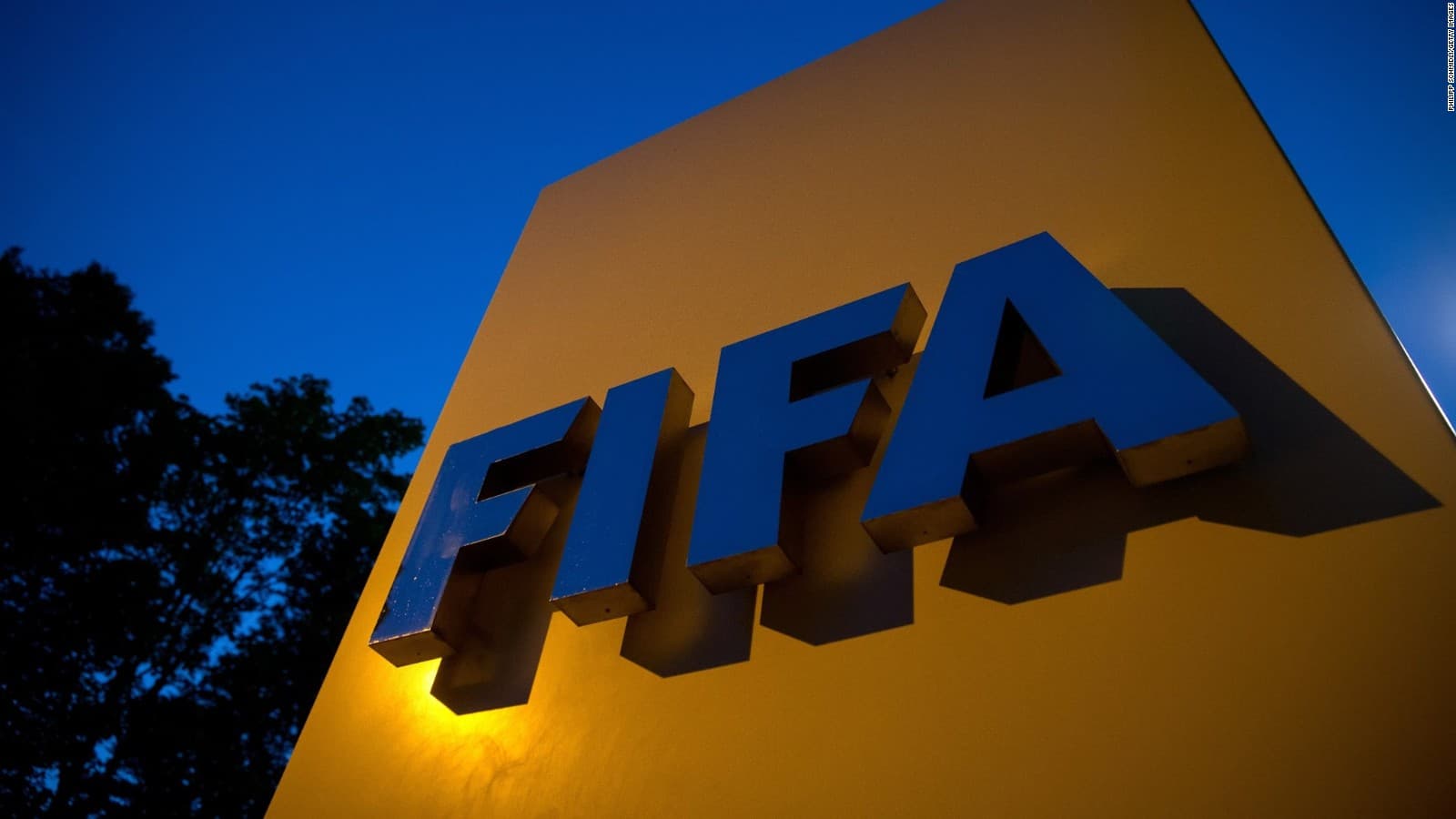 Sport Law: Normalisation committee appointed for Cameroonian FA