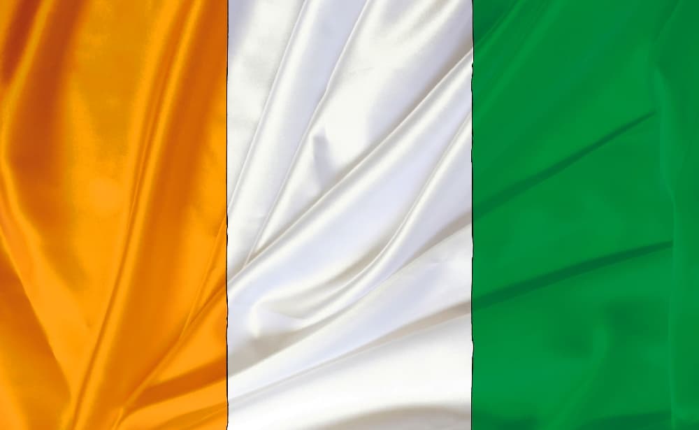 Ivory Coast: The president enacts the new constitution